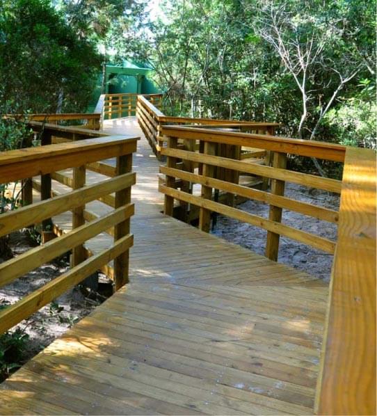 Vivência em Trilhas em Florianópolis SC