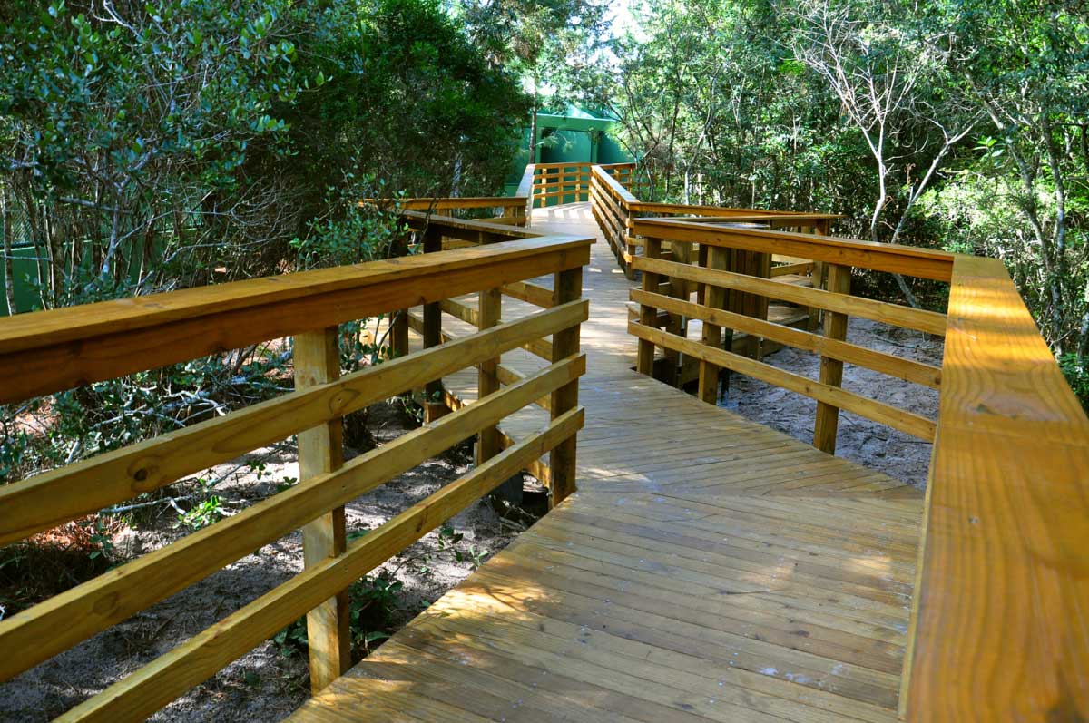 Vivência em Trilhas em Florianópolis SC